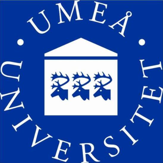 于默奧大學