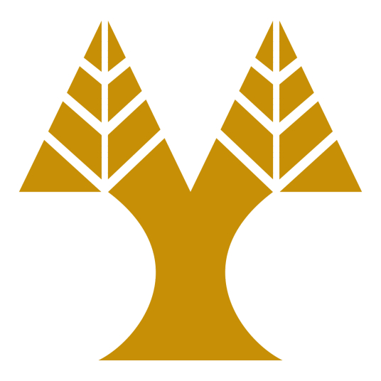 塞浦路斯大學